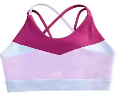 Active wear Sports Bra/Top